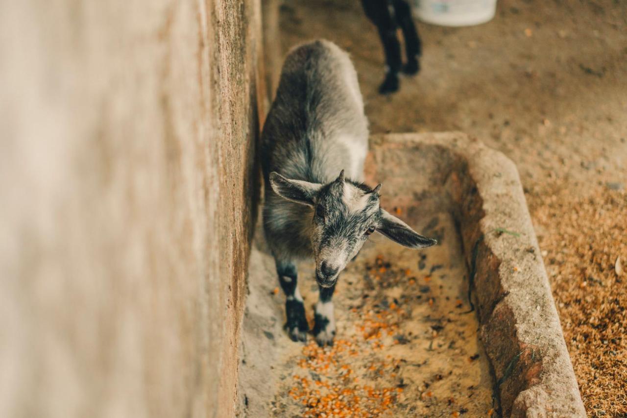 Hotel Fazenda Ramon Sao Lourenco  Eksteriør billede